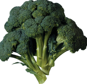 Broccoli