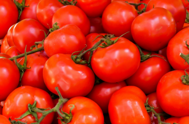 Tomato
